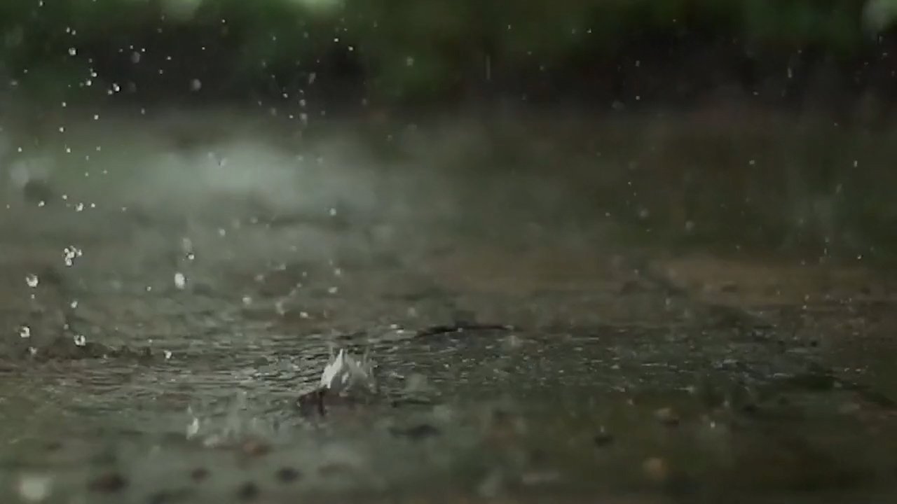 ‘Soft Rain’, (film) - Accessible Arts and Media.