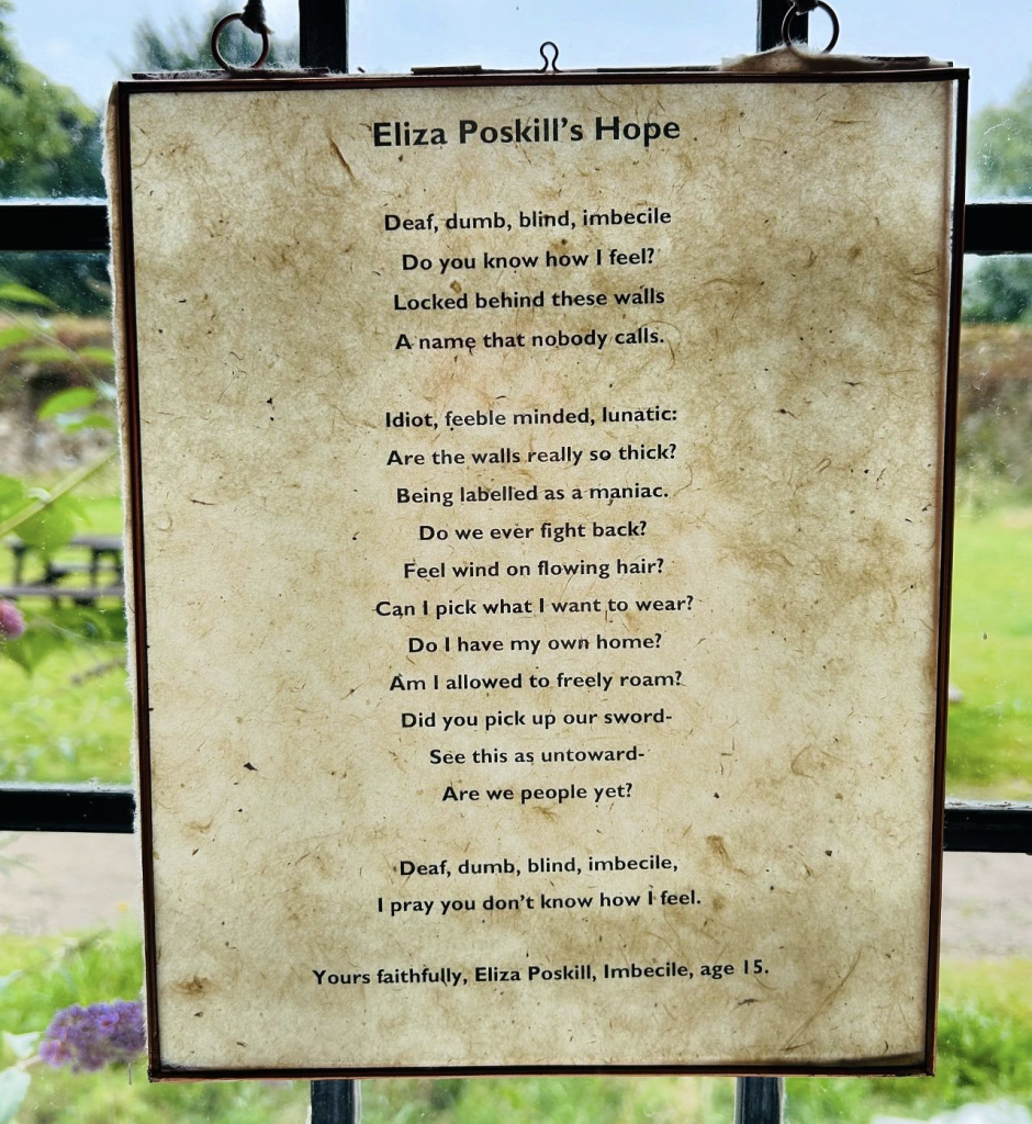 Image of printed poem in a frame hanging in a window. The text reads .... Eliza Poskill’s Hope Deaf, dumb, blind, imbecile Do you know how I feel? Locked behind these walls A name that nobody calls. Idiot, feeble minded, lunatic: Are the walls really so thick? Being labelled as a maniac. Do we ever fight back? Feel wind on flowing hair? Can I pick what I want to wear? Do I have my own home? Am I allowed to freely roam? Did you pick up our sword- See this as untoward- Are we people yet? Deaf, dumb, blind, imbecile, I pray you don’t know how I feel. Yours faithfully, Eliza Poskill, Imbecile, age 15.